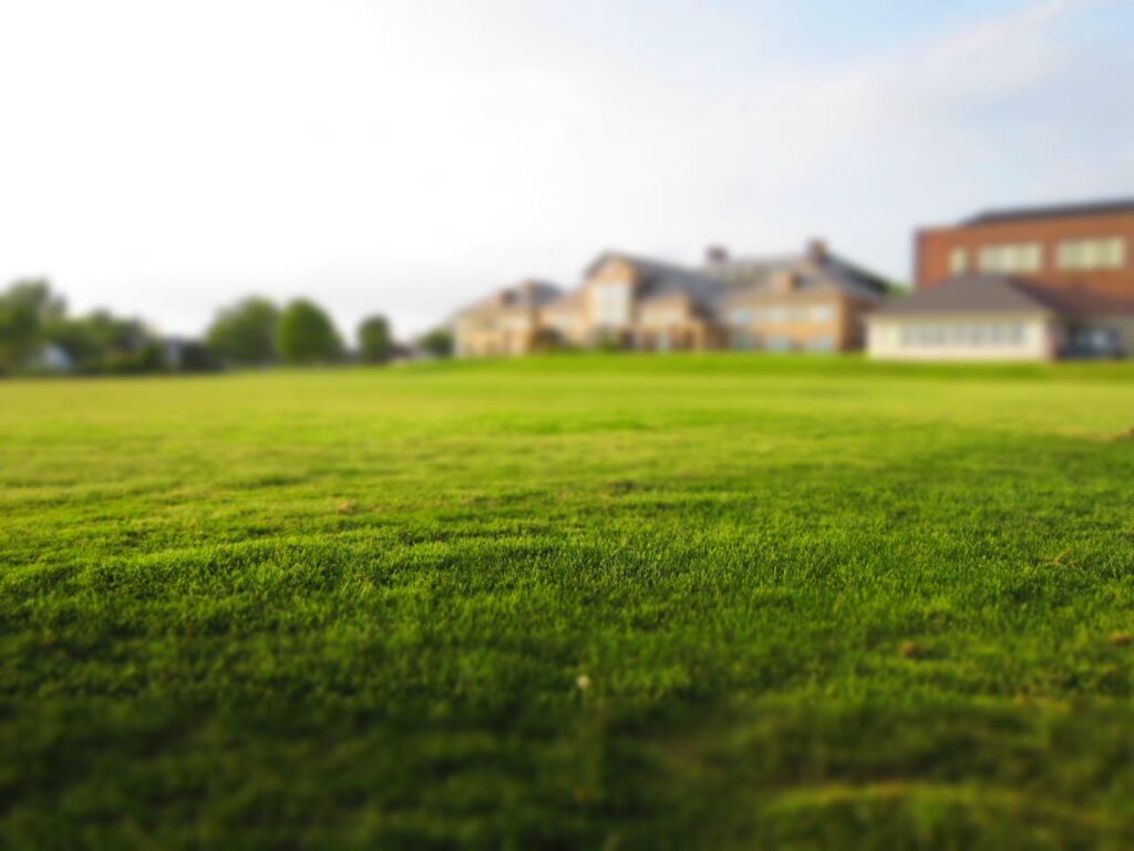 dode plekken in gras