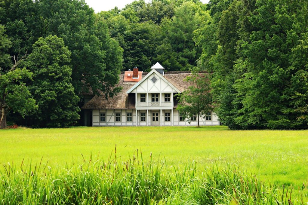 dode plekken in gras